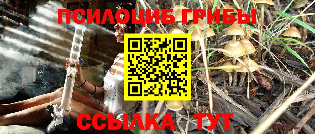 Псилоцибиновые грибы мицелий Воркута